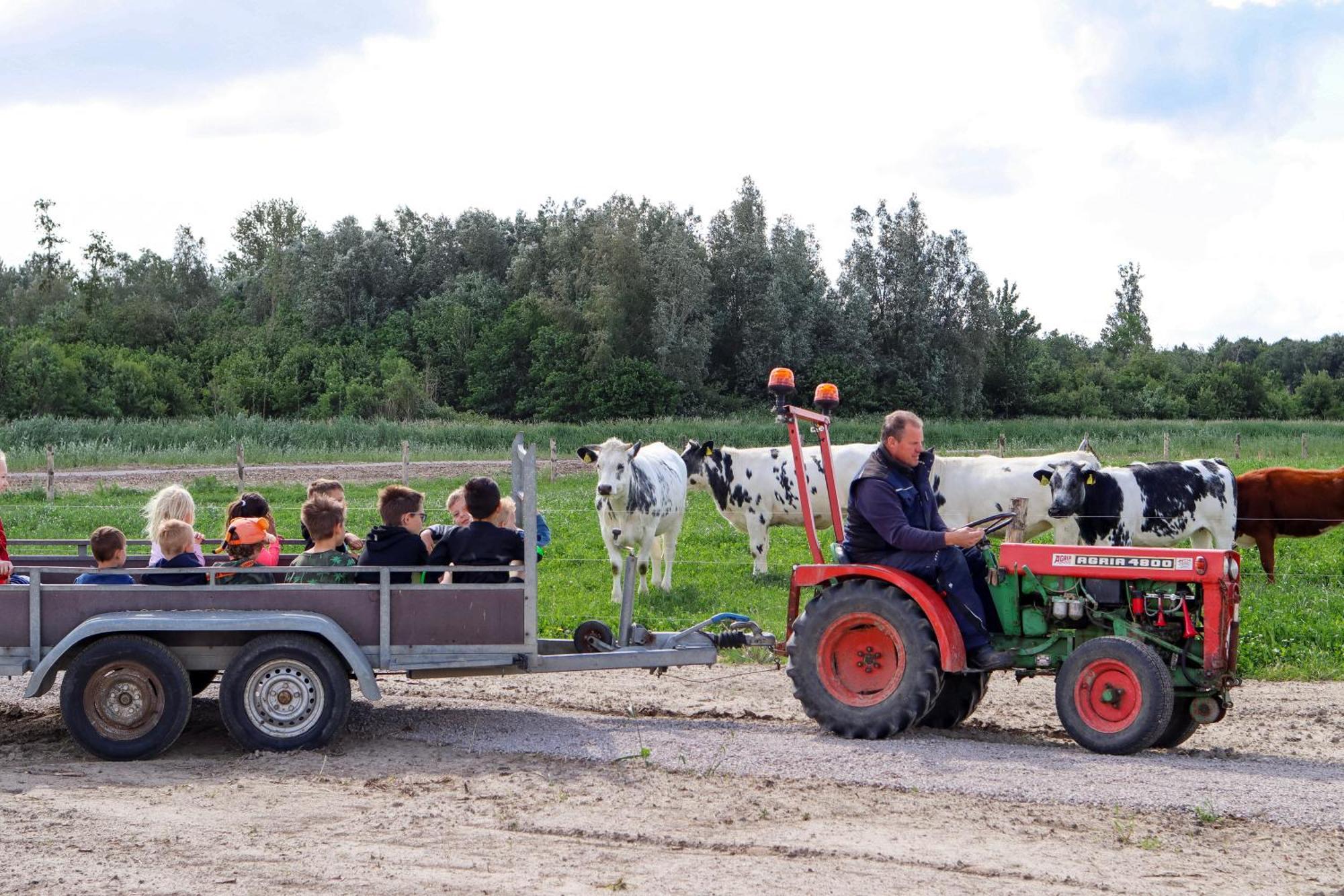 Boerderijcamping De Hinde Dronten Zewnętrze zdjęcie