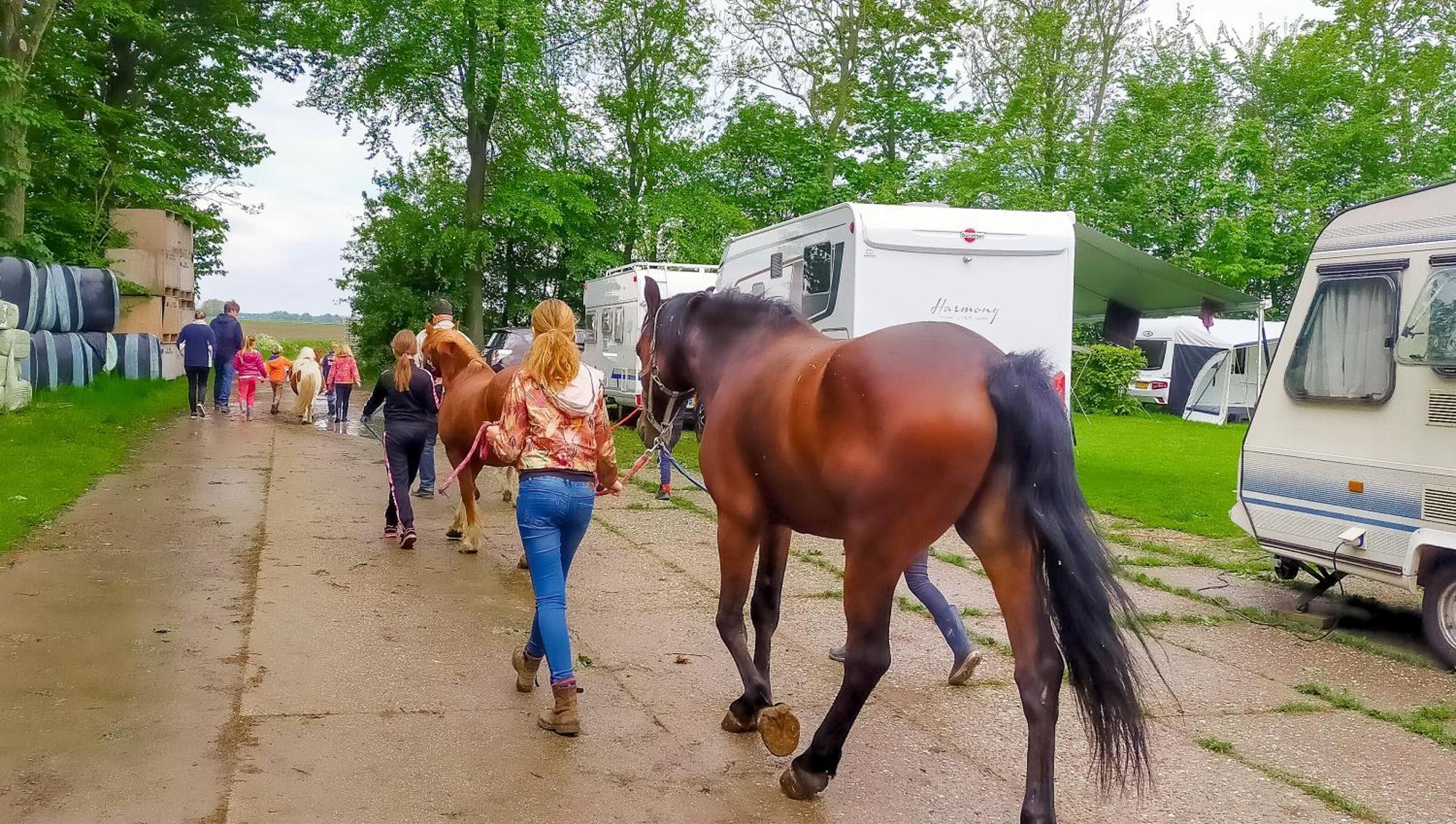 Boerderijcamping De Hinde Dronten Zewnętrze zdjęcie
